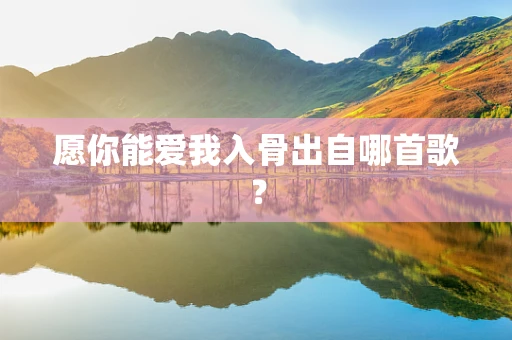 愿你能爱我入骨出自哪首歌？
