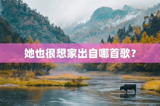 她也很想家出自哪首歌？