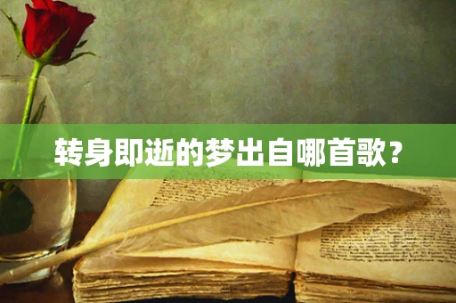 转身即逝的梦出自哪首歌？