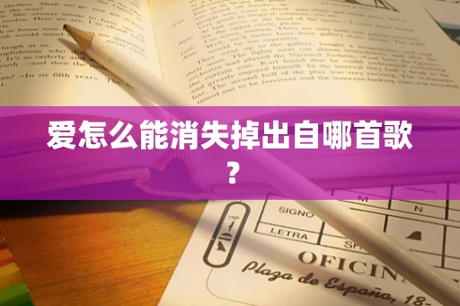 爱怎么能消失掉出自哪首歌？