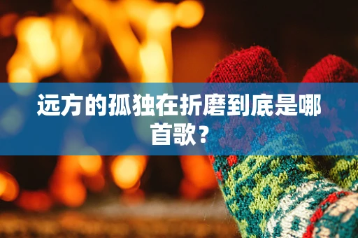 远方的孤独在折磨到底是哪首歌？