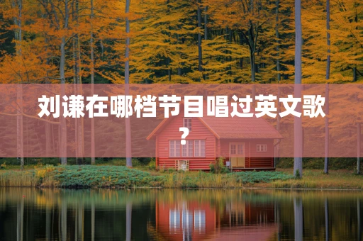 刘谦在哪档节目唱过英文歌？