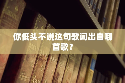 你低头不说这句歌词出自哪首歌？