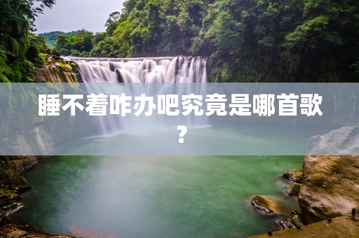 睡不着咋办吧究竟是哪首歌？