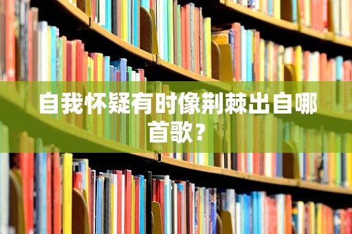 自我怀疑有时像荆棘出自哪首歌？