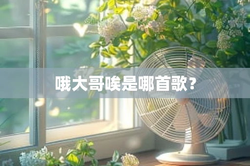 哦大哥唉是哪首歌？