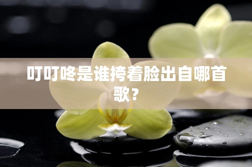 叮叮咚是谁挎着脸出自哪首歌？