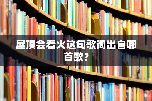 屋顶会着火这句歌词出自哪首歌？