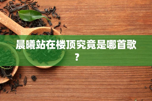 晨曦站在楼顶究竟是哪首歌？