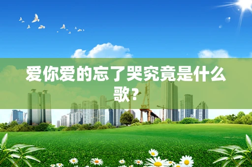 爱你爱的忘了哭究竟是什么歌？