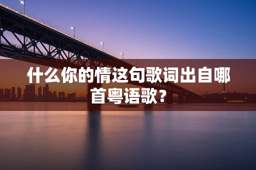 什么你的情这句歌词出自哪首粤语歌？