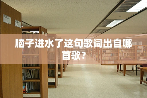 脑子进水了这句歌词出自哪首歌？