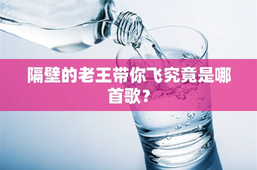 隔壁的老王带你飞究竟是哪首歌？