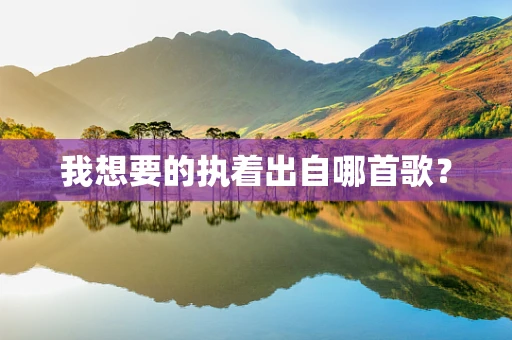我想要的执着出自哪首歌？