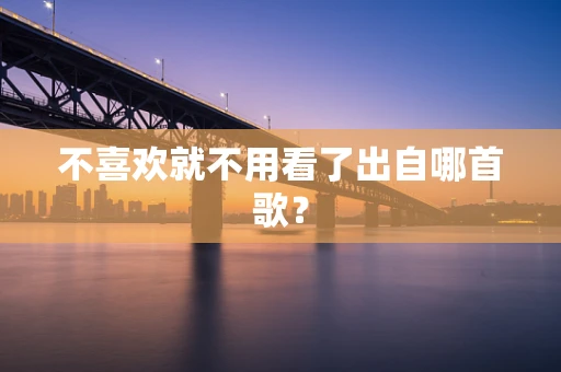 不喜欢就不用看了出自哪首歌？