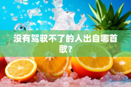 没有驾驭不了的人出自哪首歌？