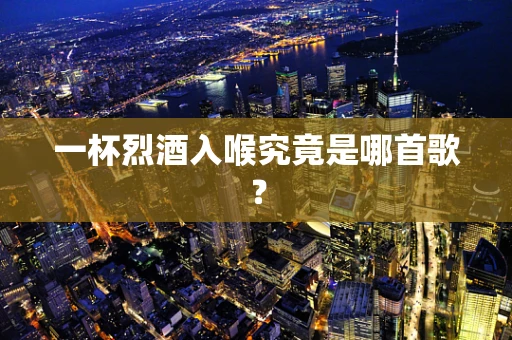 一杯烈酒入喉究竟是哪首歌？
