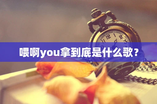 喂啊you拿到底是什么歌？