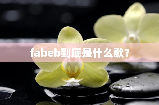 fabeb到底是什么歌？
