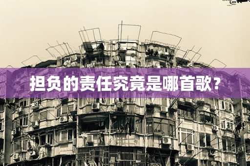担负的责任究竟是哪首歌？