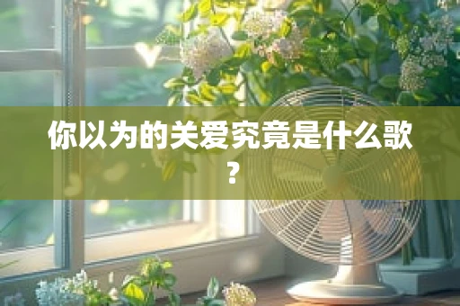 你以为的关爱究竟是什么歌？