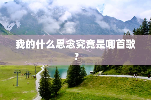 我的什么思念究竟是哪首歌？