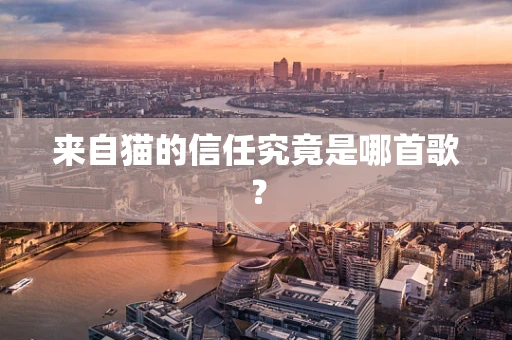 来自猫的信任究竟是哪首歌？