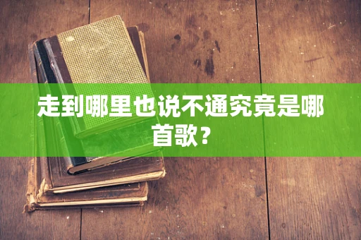 走到哪里也说不通究竟是哪首歌？