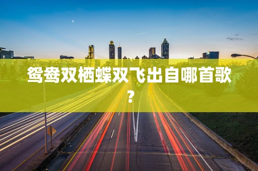 鸳鸯双栖蝶双飞出自哪首歌？