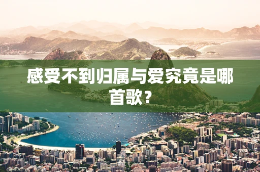 感受不到归属与爱究竟是哪首歌？
