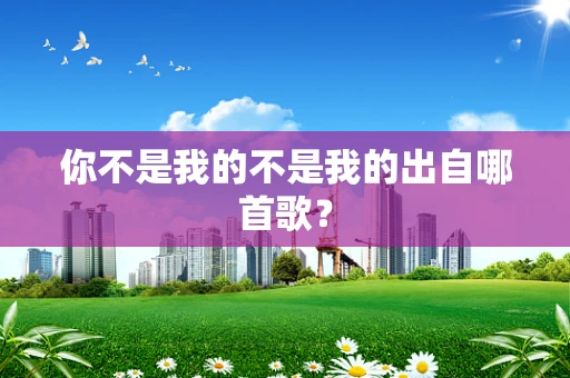 你不是我的不是我的出自哪首歌？