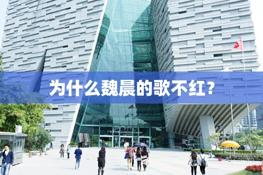 为什么魏晨的歌不红？