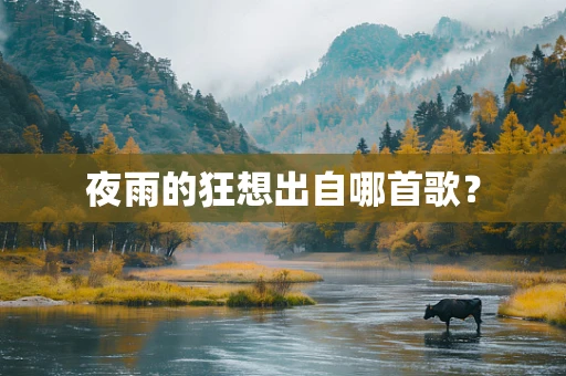 夜雨的狂想出自哪首歌？