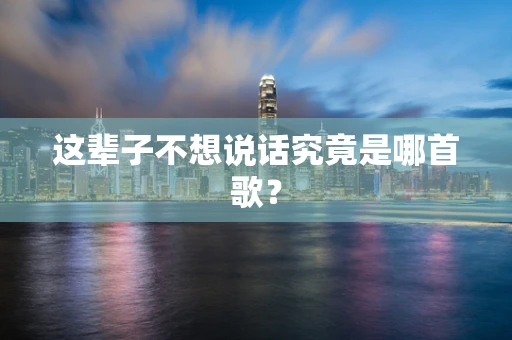 这辈子不想说话究竟是哪首歌？