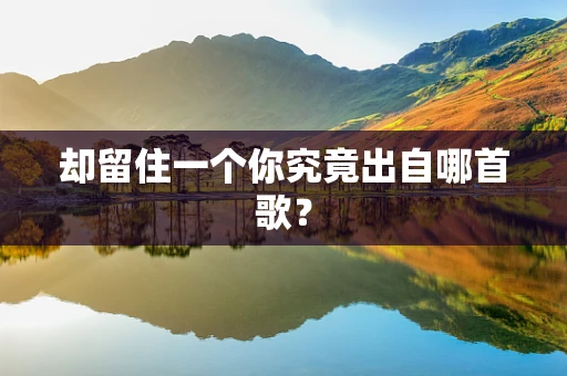 却留住一个你究竟出自哪首歌？