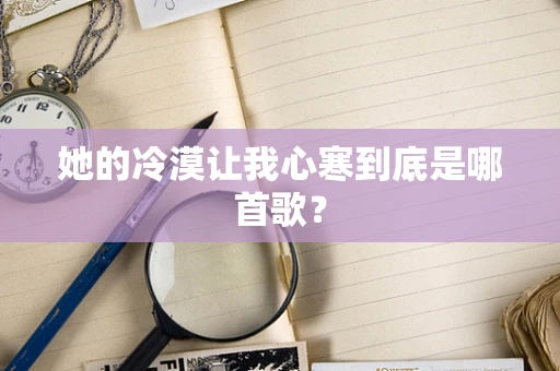 她的冷漠让我心寒到底是哪首歌？
