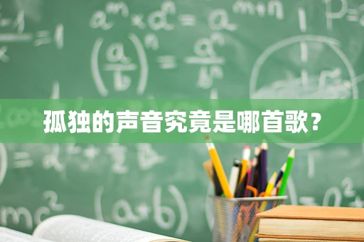 孤独的声音究竟是哪首歌？