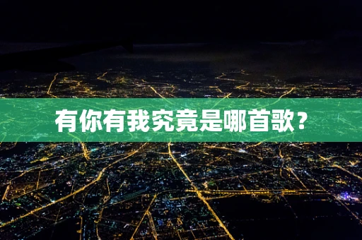 有你有我究竟是哪首歌？