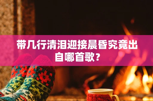 带几行清泪迎接晨昏究竟出自哪首歌？