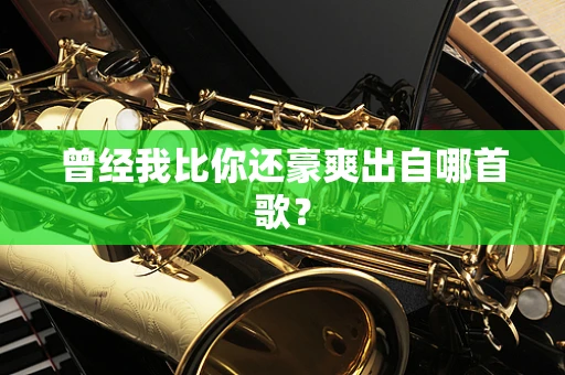 曾经我比你还豪爽出自哪首歌？