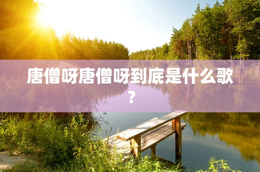 唐僧呀唐僧呀到底是什么歌？