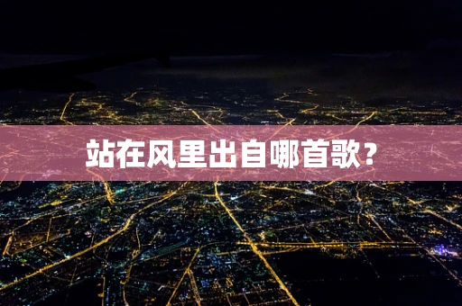 站在风里出自哪首歌？