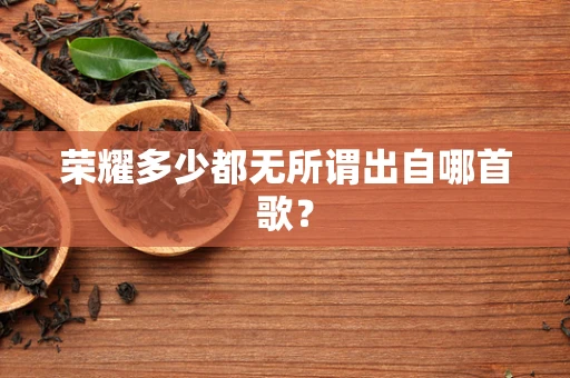 荣耀多少都无所谓出自哪首歌？