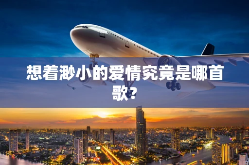 想着渺小的爱情究竟是哪首歌？
