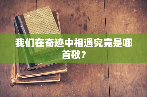 我们在奇迹中相遇究竟是哪首歌？