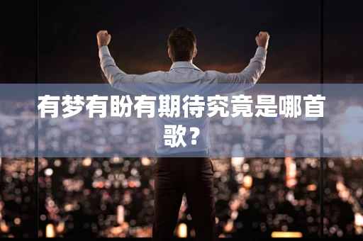 有梦有盼有期待究竟是哪首歌？