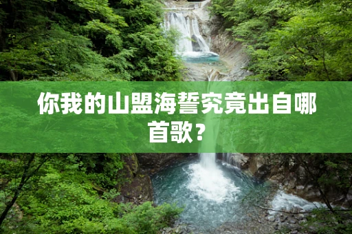 你我的山盟海誓究竟出自哪首歌？