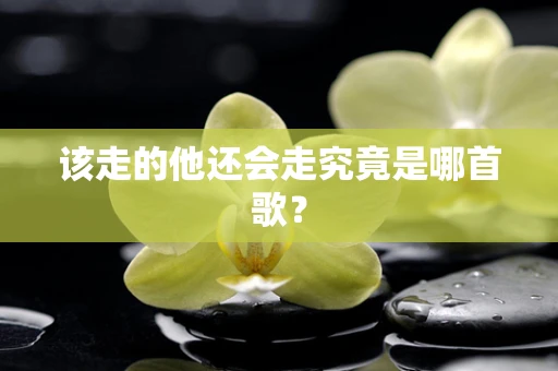 该走的他还会走究竟是哪首歌？