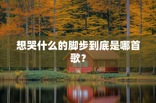 想哭什么的脚步到底是哪首歌？