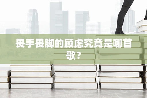 畏手畏脚的顾虑究竟是哪首歌？